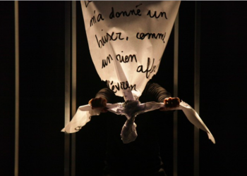 je hurle, théâtre, marionnettes, festival, soupe Cie, szenik