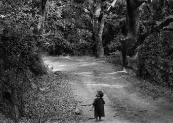 la mémoire des arbres, Fabrice murgia, bruxelles, theatre, création, szenik,