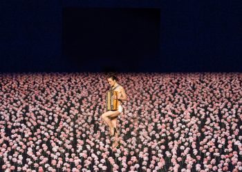 nelken, pina bausch, Charleroi danse, danse, szenik, tanztheater Wuppertal,