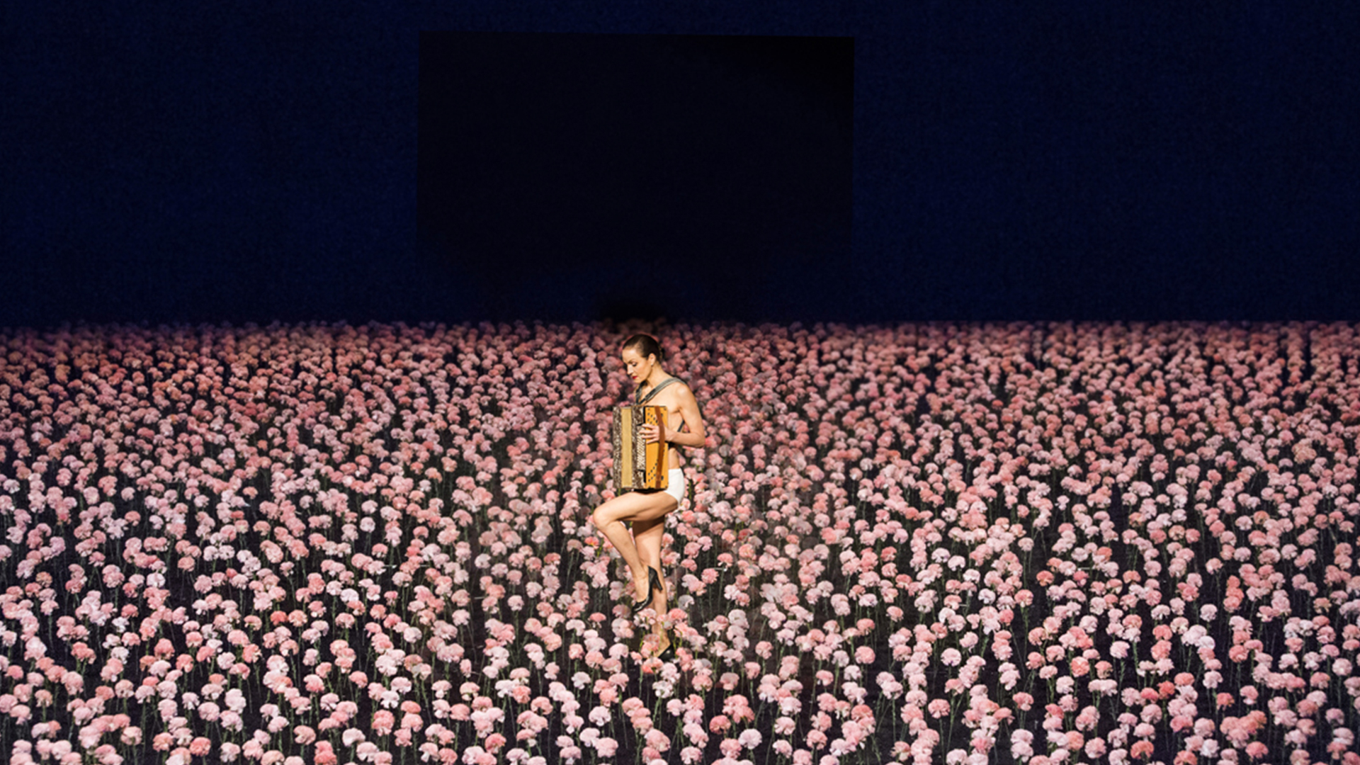 nelken, pina bausch, Charleroi danse, danse, szenik, tanztheater Wuppertal,