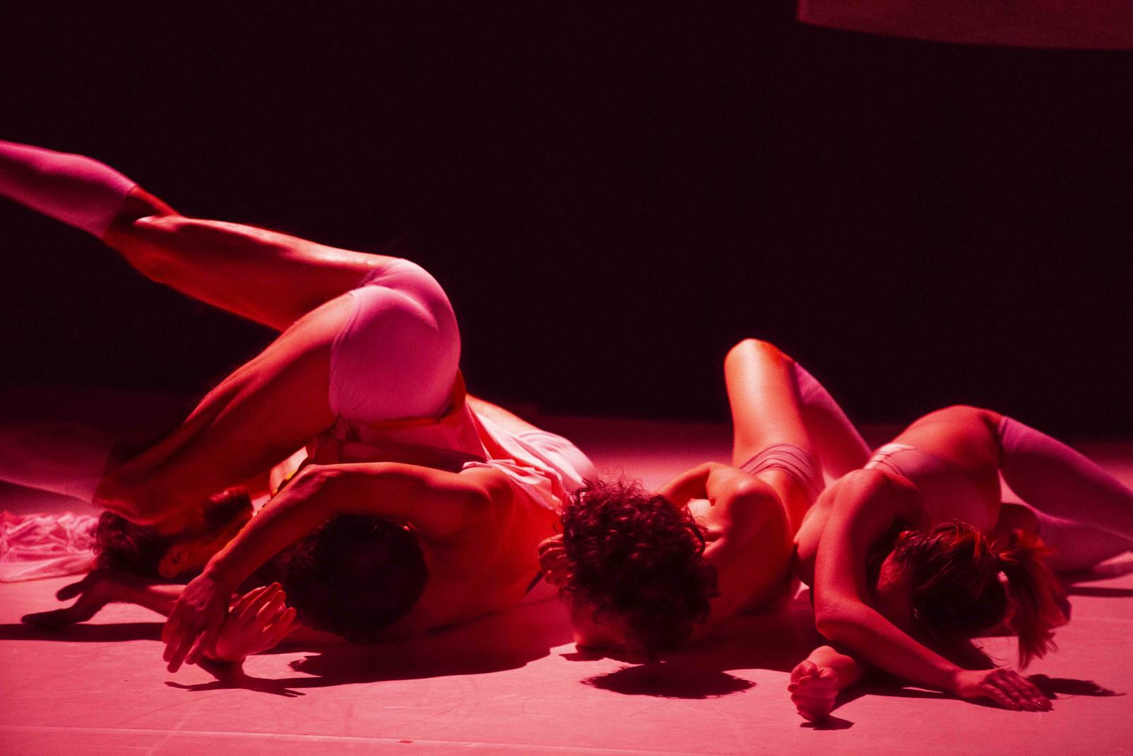 DANSE_IMAGE GO_POLE SUD_C-Loran Chourrau_STRASBOURG_SZENIK