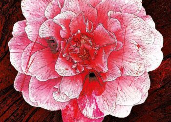 DANSE_LA-DAME-AUX-CAMELIAS_OPERA-THEATRE-METZ_SZENIK