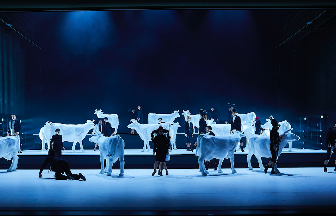 TANZ_COW_THEATER BASEL_C_Lucia Hunziker_SZENIK