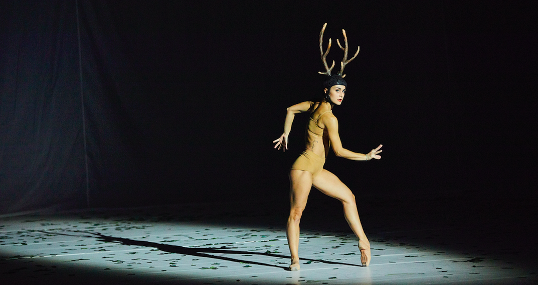 TANZ_COW_THEATER BASEL_C_Lucia Hunziker_SZENIK