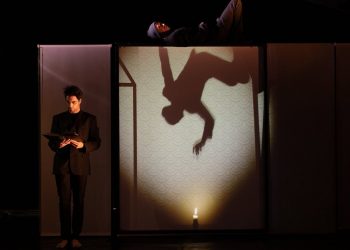 cirque_LE REVE D_UNE OMBRE_Olivier Guillemain_TJP STRASBOURG_JES STUTTGART_SZENIK