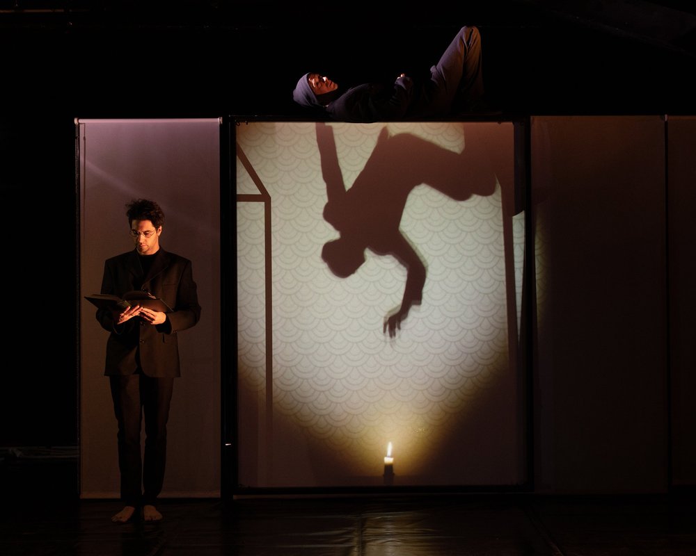 cirque_LE REVE D_UNE OMBRE_Olivier Guillemain_TJP STRASBOURG_JES STUTTGART_SZENIK