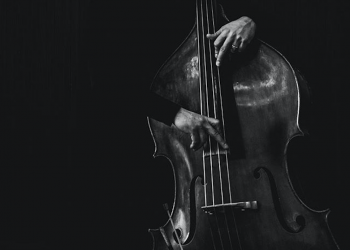 Praktikant*in gesucht: Das Jazzfestival Freiburg vergibt eine Praktikantenstelle im Bereich Öffentlichkeitsarbeit