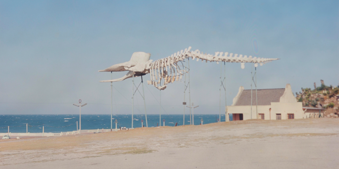 Basel: Drei Neue Bunker, ein Hörprojekt der Theatergruppe GKW