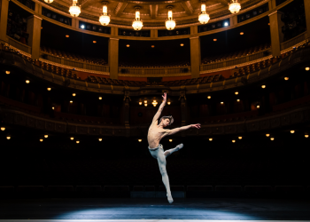 Vogel_Opernhaus Stuttgart-5_(c)Roman Novitzky.jpg