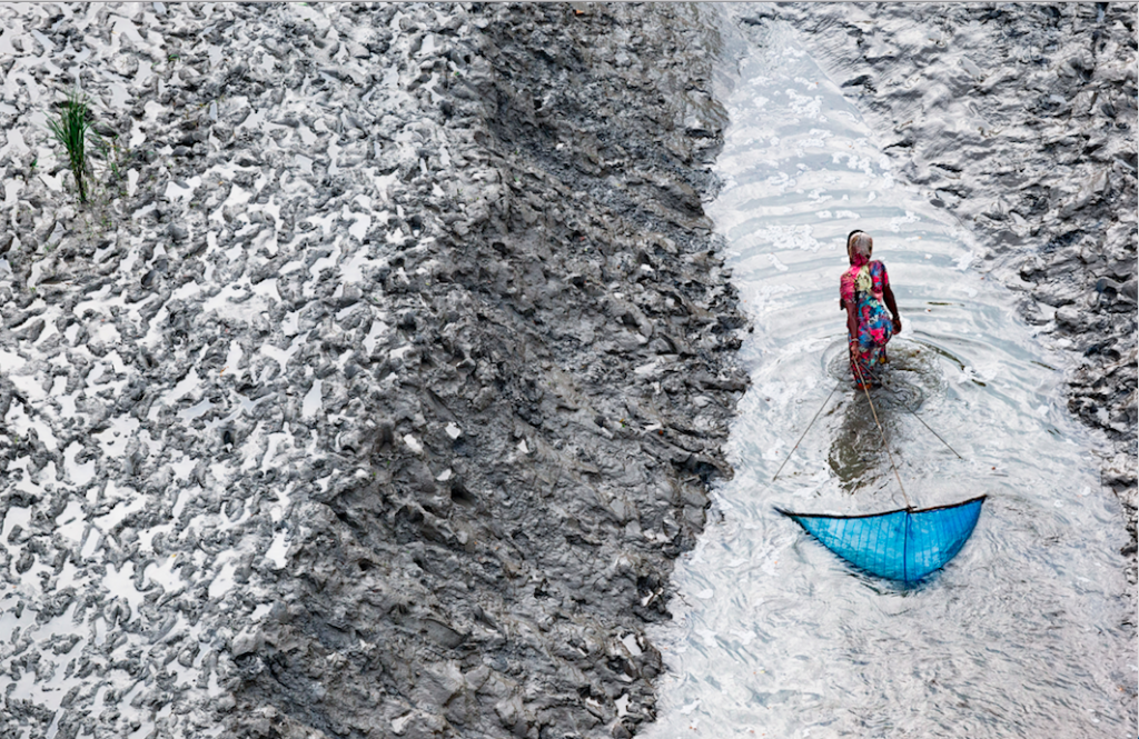FEMME PÊCHANT AU FILET SUR UN BRAS DU DELTA,SUD DE PADMAPUKUR, DISTRICT DE KHULNA, BANGLADESH © Y.Arthus-Bertrand