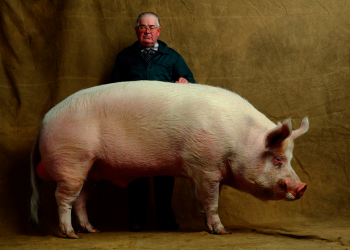 EXPO BB_mons_yann Arthur bertrand_szenik