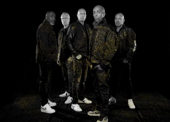 iam-credit-photo-didier-d-daarwin-tous-des-k