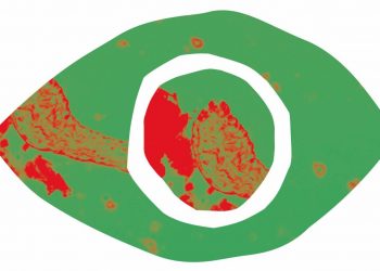 festival_eyes on_sudpol_luzern_szenik