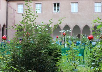 Que l’aventure sonore commence : #szenikmag aux Dominicains de Haute-Alsace