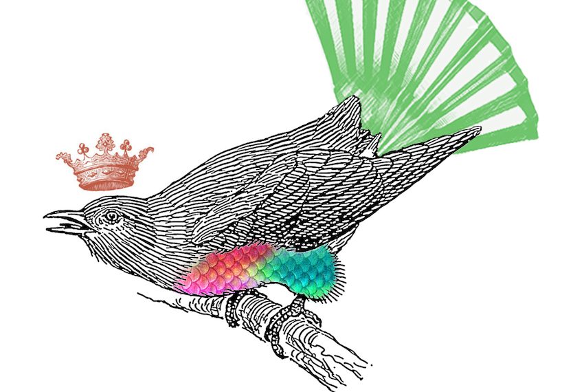 Kuckuck festival_theatre du marche aux grains_bouxwiller_szenik