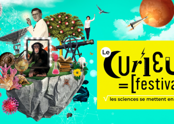 le curieux festival strasbourg-szenik