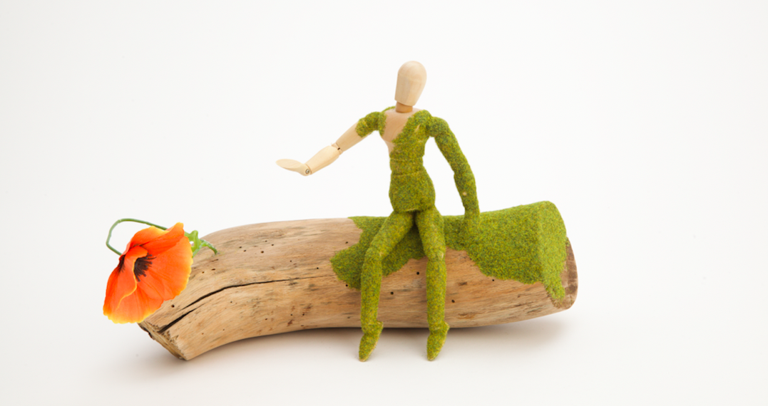 exposition-cat bartolome-bruxelles-szenik