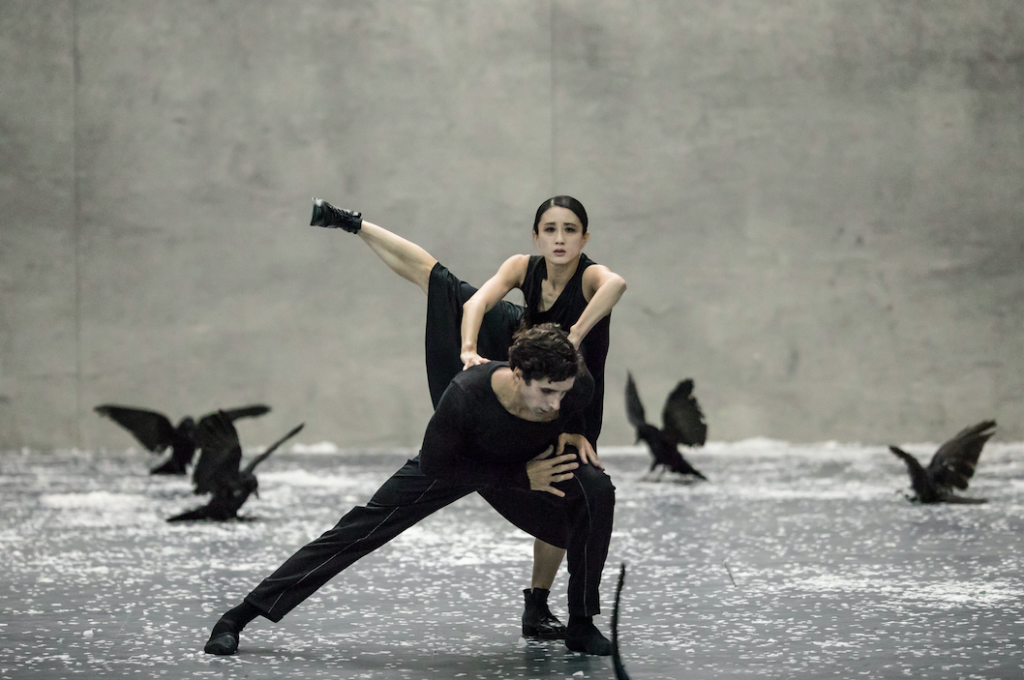 winterreise_ballett zurich_c_gregory batardon_szenik