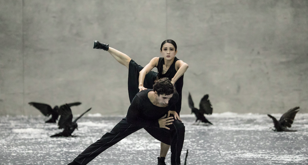 winterreise_ballett zurich_c_gregory batardon_szenik