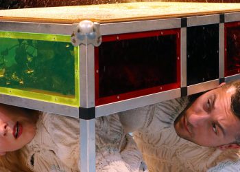 Festival Momix 2021 : un anniversaire bouleversé par la pandémie