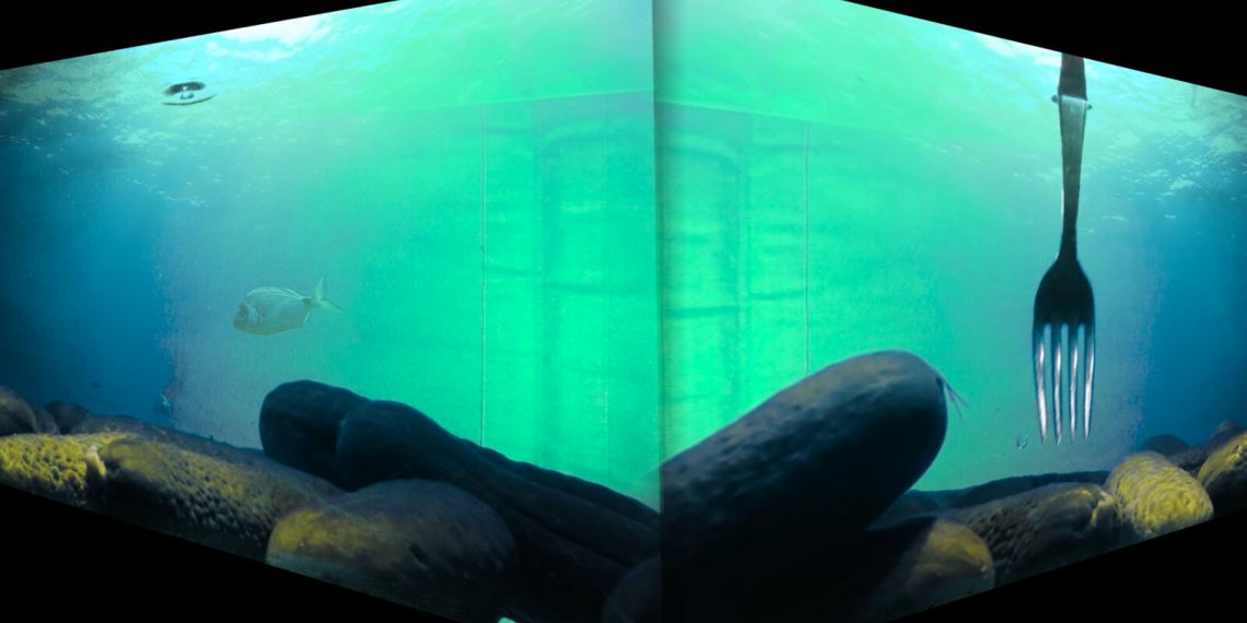 Debussy & Clownsspiel mit dem FITZ! Zentrum für Figurentheater