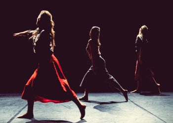 tanzwuchs|freiburg #5 : Ein digitaler Performanceaband mit Freiburger Tanzschaffenden