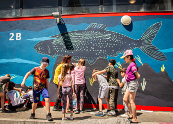 espace Django_strasbourg