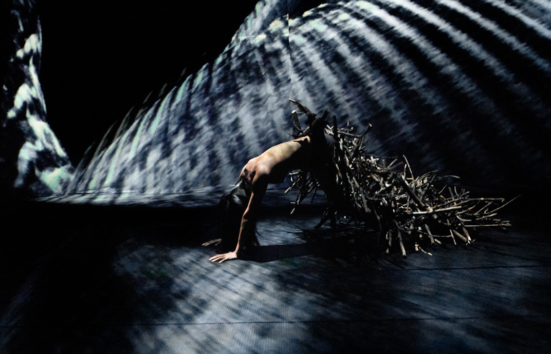 FORET_Franck_Vigroux_juin_2020_photo_Quentin_Chevrier-4.jpg