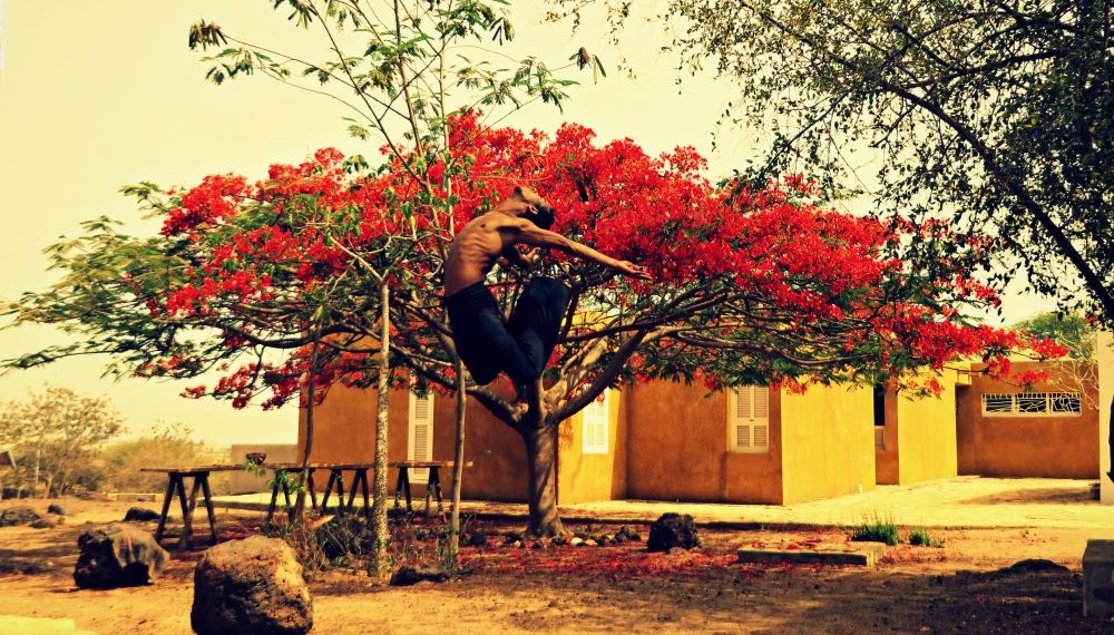fondation Pina bausch