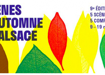 Scènes d&rsquo;Automne en Alsace