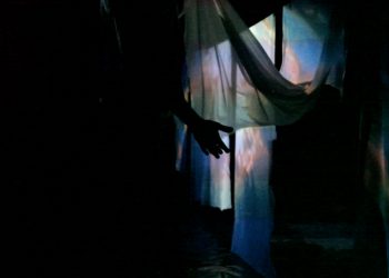 Danubia – Miroir des eaux