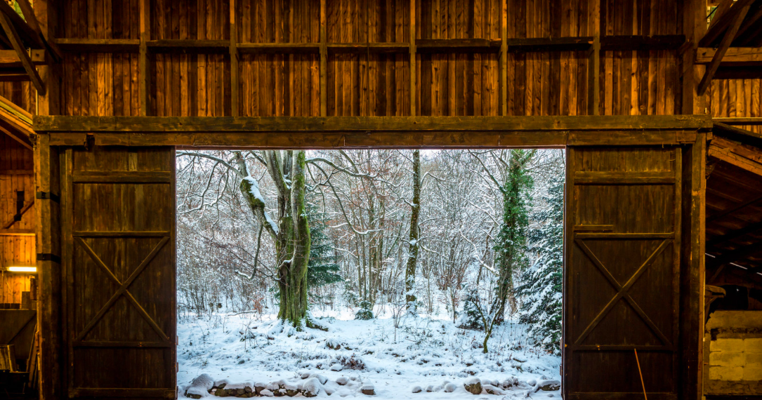 Faits d’hiver 4