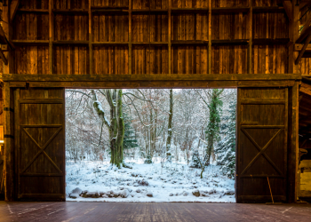 Faits d&rsquo;hiver 4