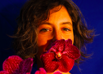 De la sexualité des orchidées