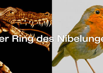 Der Ring des Nibelungen