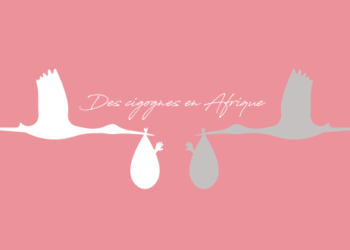 Festival Les cigognes en Afrique