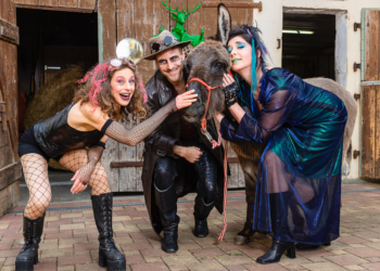 Theatersommer am Exil Theater