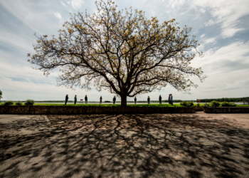 Atelier théâtre et danse pour amateurs à Weiterswiller du 22 au 26 août 2022