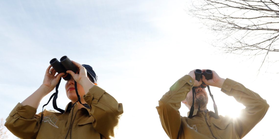 Metropolregion Rhein-Neckar: Waldakteur*innen für Kunstfilm im September gesucht
