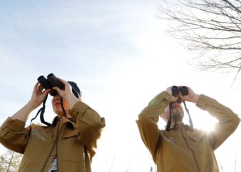 Metropolregion Rhein-Neckar: Waldakteur*innen für Kunstfilm im September gesucht