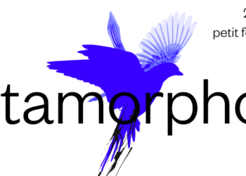 Métamorphose d&rsquo;automne