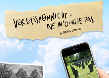 Vergissmeinnicht – Ne m&rsquo;oublie pas