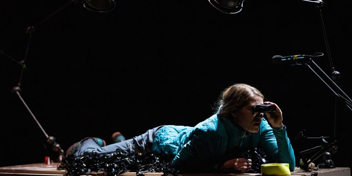 Pister les créatures fabuleuses