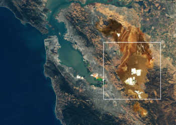 Esch2022 : Exposition IN TRANSFER – A New Condition du 3 septembre au 27 novembre 2022