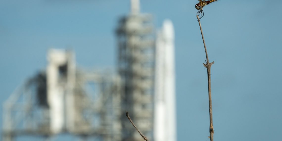 Quatuor (titre de travail)