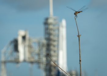 Quatuor (titre de travail)