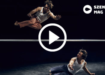 Rencontre avec Alexandre Fray (Un loup pour l’homme) au Palc : “L’acrobate se coltine le réel.”