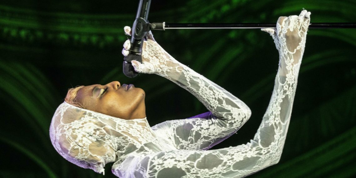 UN PAS DE CHAT SAUVAGE