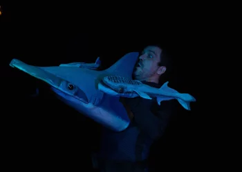 FABLES / LES ACROBATES