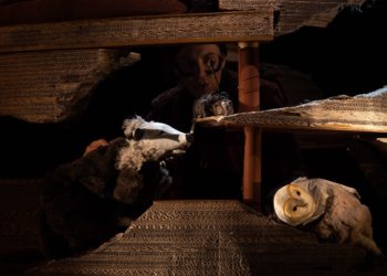 LES ACROBATES + T(E)R:::R/IE:::R